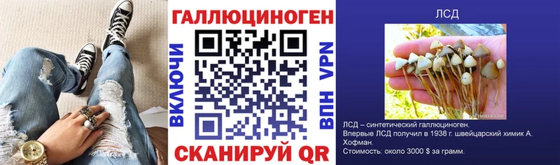 Галлюциногенные грибы мицелий Купино